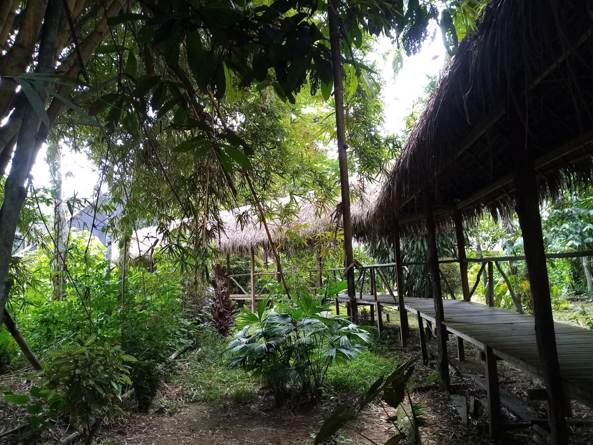 Tambopata Inotawa Lodge מראה חיצוני תמונה