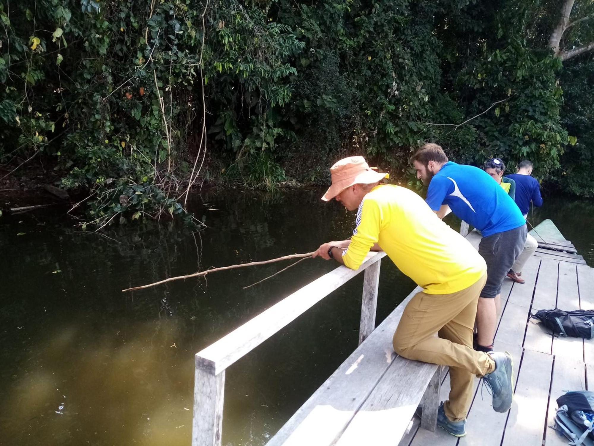 Tambopata Inotawa Lodge מראה חיצוני תמונה